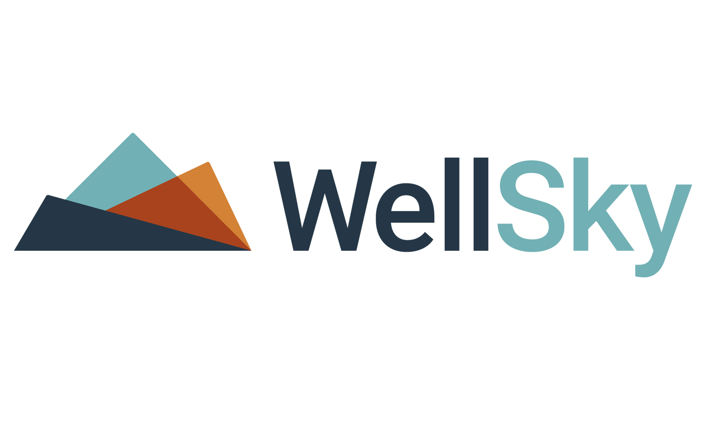 The WellSky Foundation